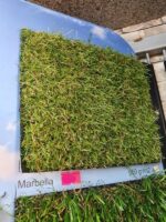Marbella Çim