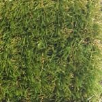 Marvel Çim - Görsel 2