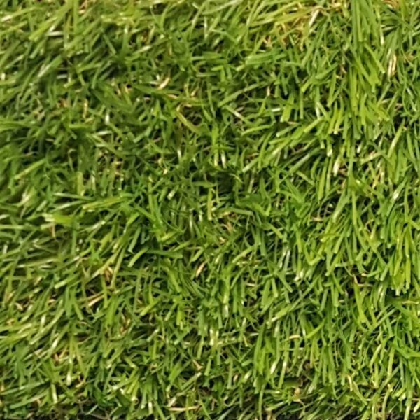 Nobili Çim - Görsel 2