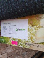 Palermo Çim - Görsel 2
