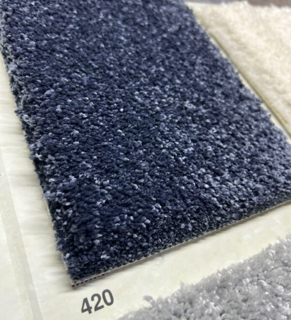 Diplomat 420 - Görsel 2