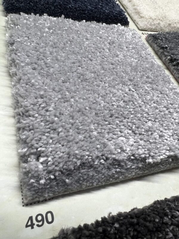 Diplomat 490 - Görsel 2